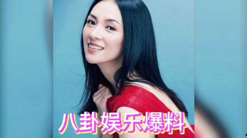 娱乐吃瓜酱明星八卦小说,揭秘明星八卦背后的故事