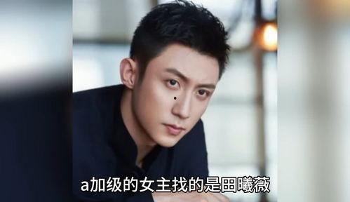 娱乐圈八卦吃瓜解说全集,揭秘明星幕后真相与八卦全解析