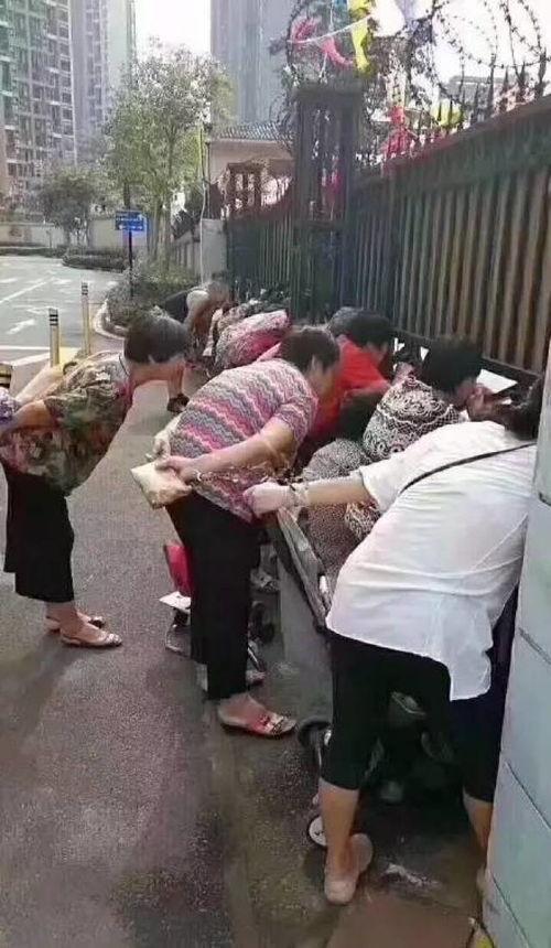 娱乐吃瓜酱人贩子是谁啊,网络谣言与真相的较量