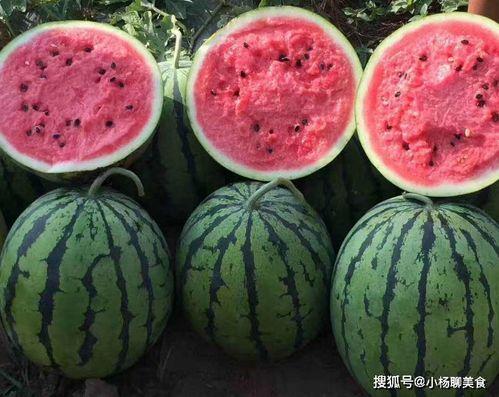 娱乐吃瓜酱吃软不吃硬,吃软不吃硬，明星们的硬碰硬态度