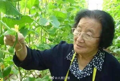 娱乐吃瓜酱吃软不吃硬,吃软不吃硬,明星们的硬碰硬态度 第2张 娱乐吃瓜酱吃软不吃硬,吃软不吃硬,明星们的硬碰硬态度 第2张