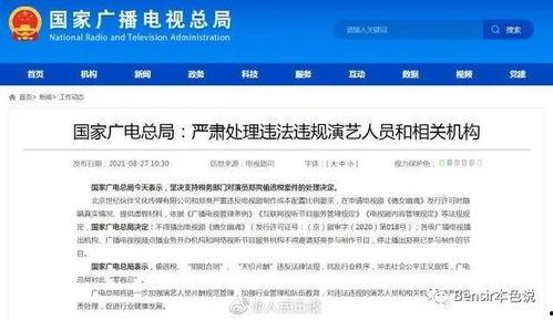 娱乐吃瓜报道文章大全免费阅读,揭秘热点事件，畅享免费阅读盛宴