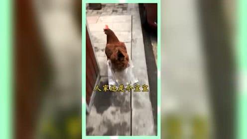 八卦娱乐是吃瓜群众的,揭秘吃瓜群众的狂欢盛宴 第2张 八卦娱乐是吃瓜群众的,揭秘吃瓜群众的狂欢盛宴 第2张