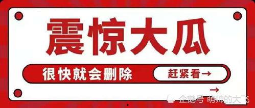 娱乐吃瓜八卦账号是什么,网络时代的娱乐风向标