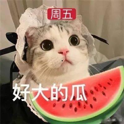 娱乐吃瓜网名女生两个字,李思思的优雅与自信