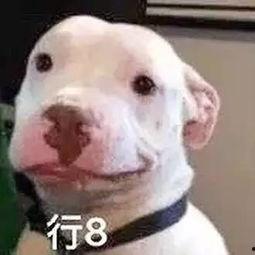 微信公众号吃瓜娱乐圈,揭秘明星幕后故事 第2张 微信公众号吃瓜娱乐圈,揭秘明星幕后故事 第2张