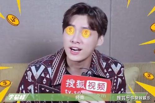 娱乐圈吃瓜王鹤棣是谁,瓜田李下，他如何成为焦点人物？  第3张