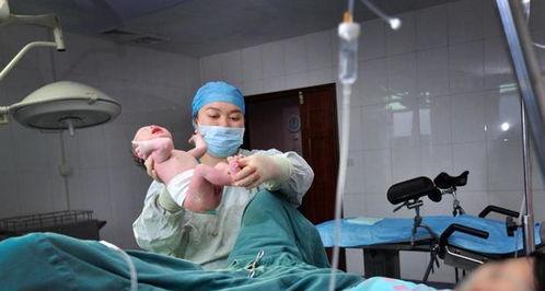 娱乐吃瓜酱曾经有多火 第3张 娱乐吃瓜酱曾经有多火 第3张